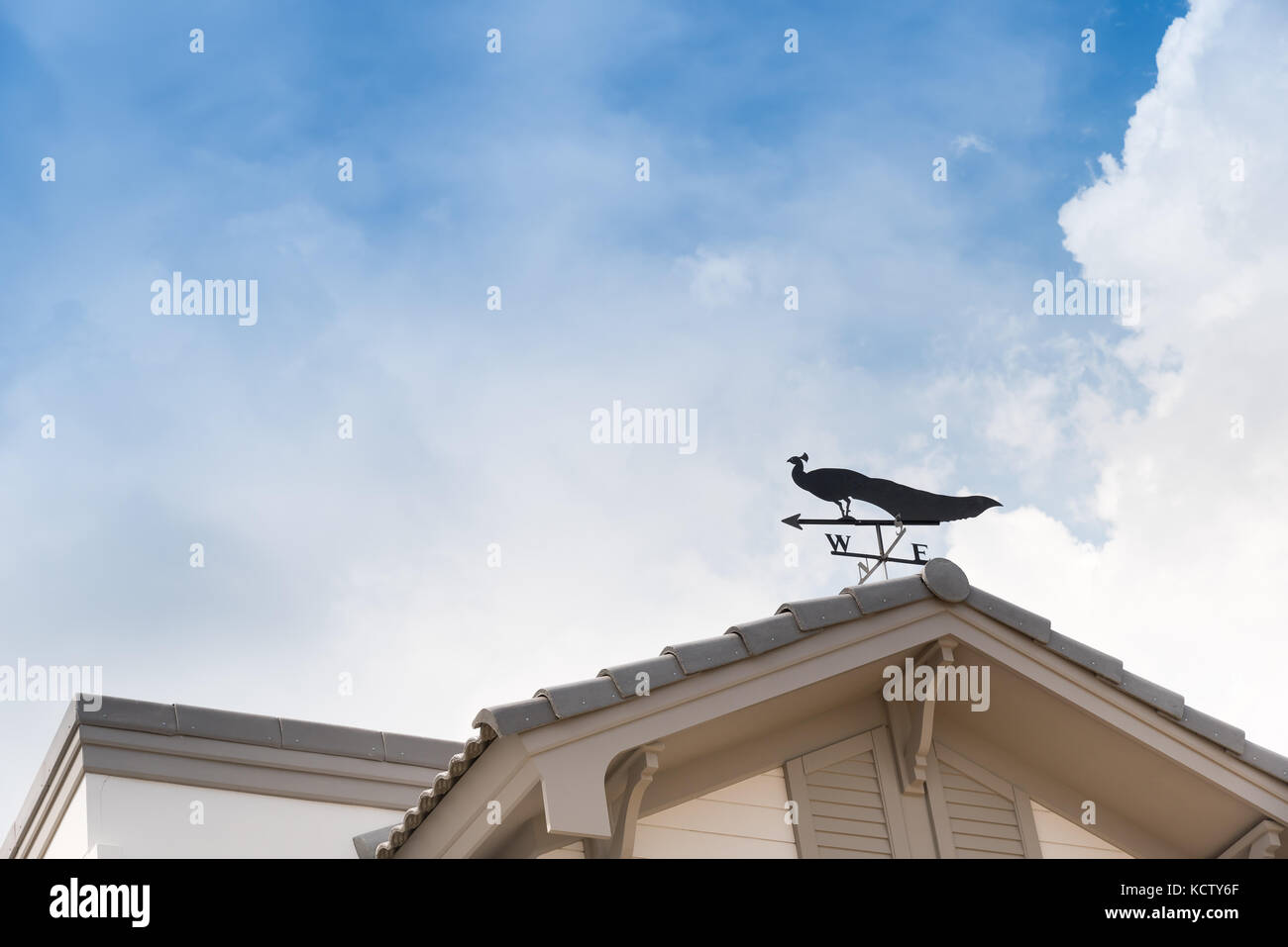 Weathervane mit Pfau oben ein Pfeil und die vier Himmelsrichtungen Nord Ost West Süd Stockfoto