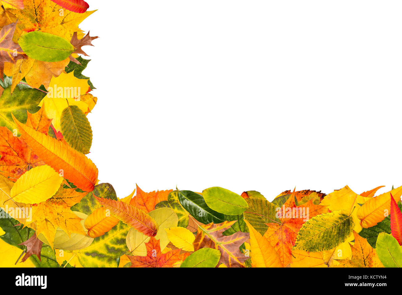 Viele verschiedene Blätter im Herbst als Rahmen für den Herbst Hintergrund Stockfoto