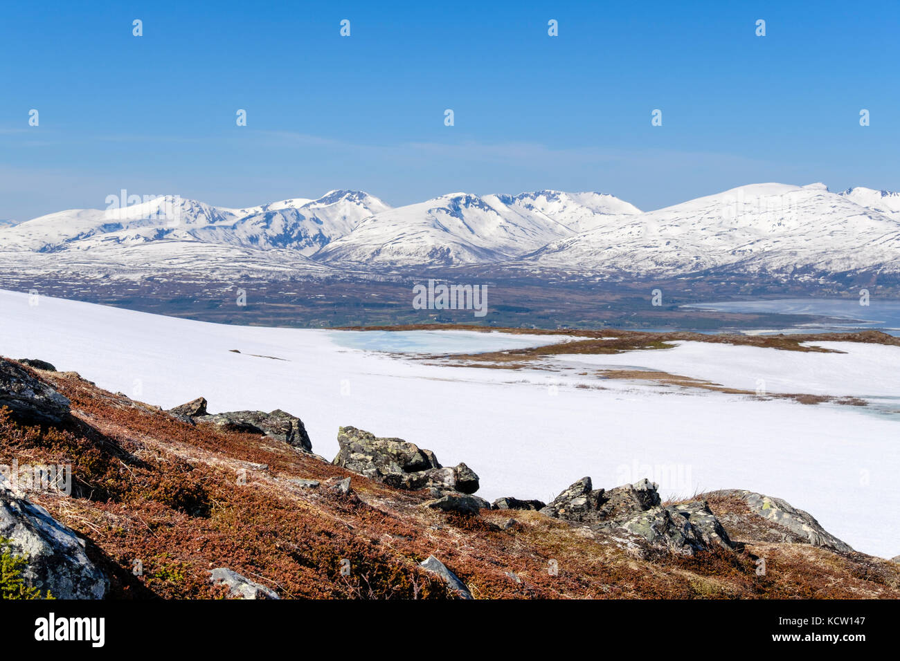 Arktische tundra Landschaft auf dem Berg Storsteinen mit schneebedeckten Bergen im Sommer. Tromso, Troms, Norwegen, Skandinavien, Europa Stockfoto