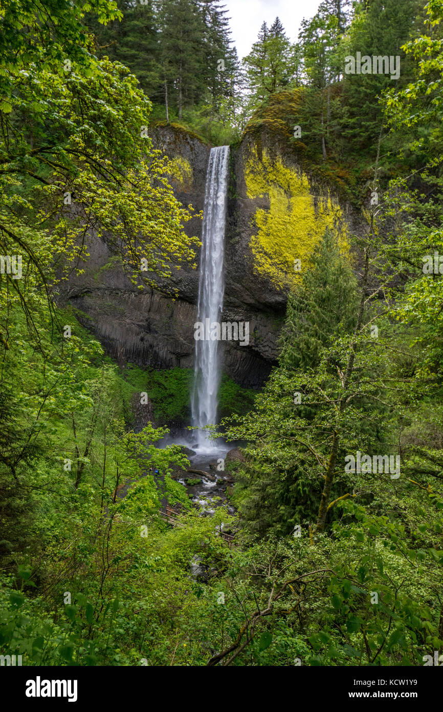 Latourell Falls ist ein Wasserfall entlang der Columbia River Gorge in Oregon, im Guy W. Talbot State Park. Der historische Columbia River Highway verläuft in der Nähe, und an bestimmten Orten sind die Lower Falls von der Straße aus sichtbar. Stockfoto