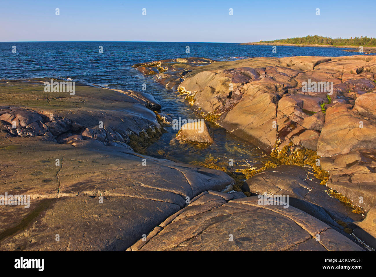 Felsige Küste am Golf von St. Lawrence, Pointe-des-Monts, Québec, Kanada Stockfoto