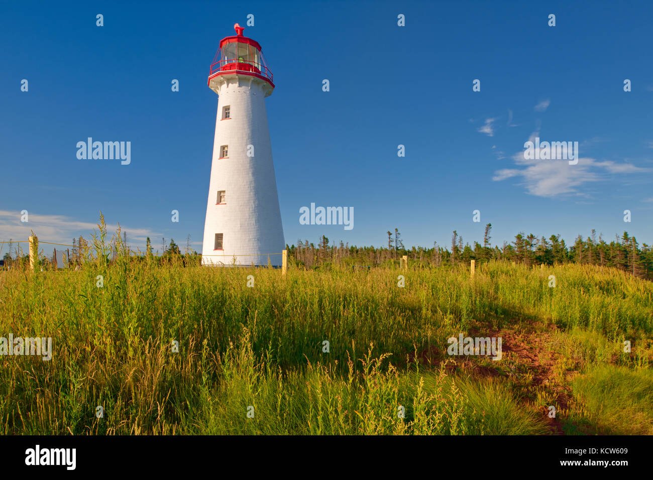 Punkt prim Leuchtturm, Prim, Prince Edward Island, Kanada Stockfoto