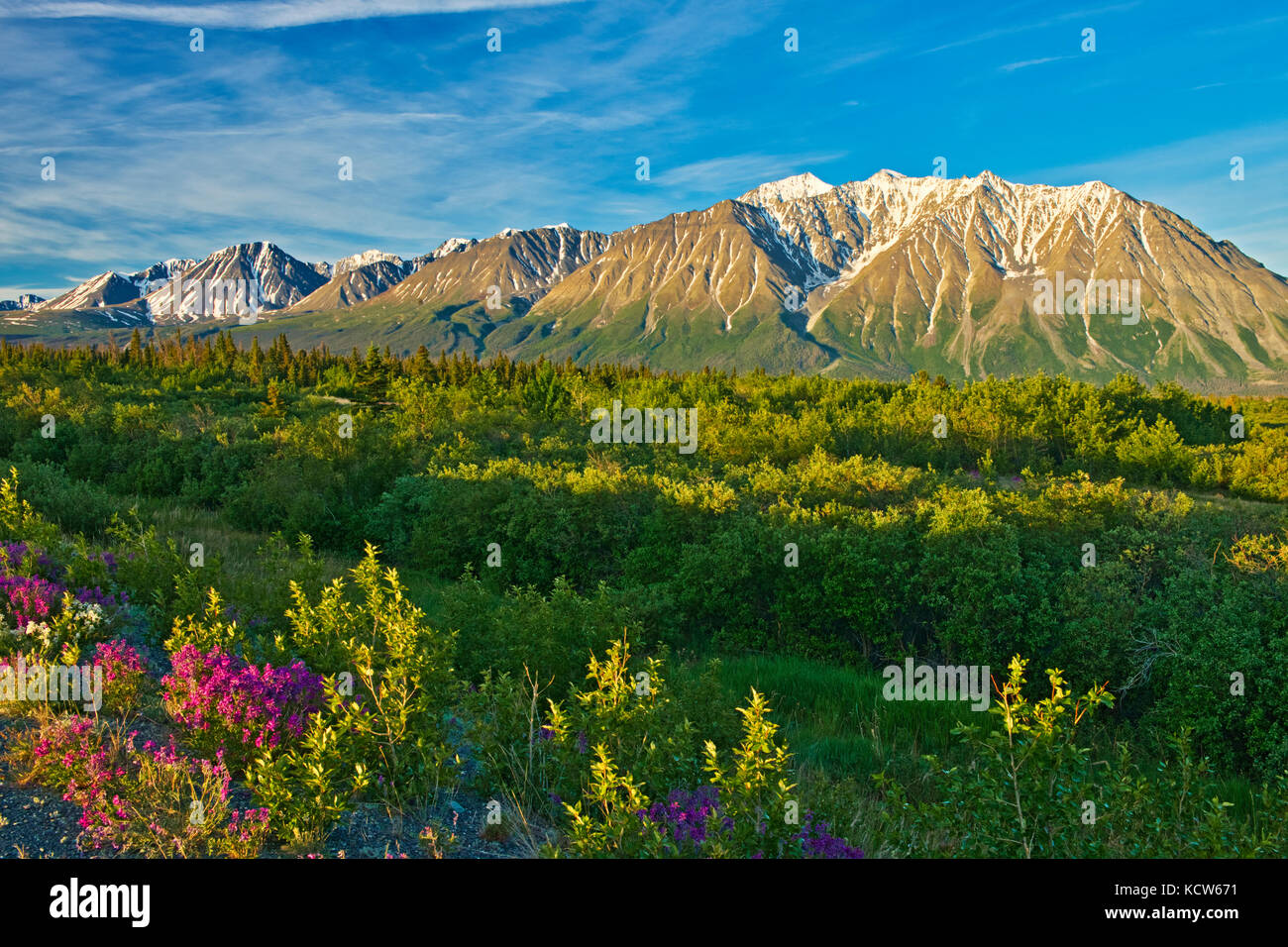 St. Elias Mountains, nördlich von Haines Junction, Yukon, Kanada Stockfoto