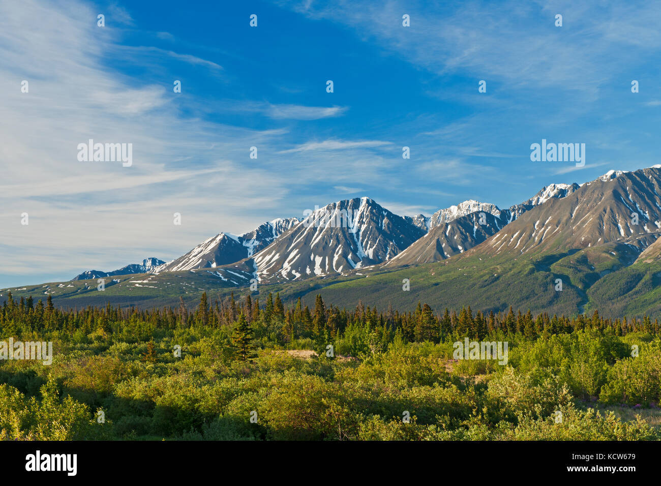 St. Elias Mountains Ear Haines Junction, Yukon, Kanada Stockfoto