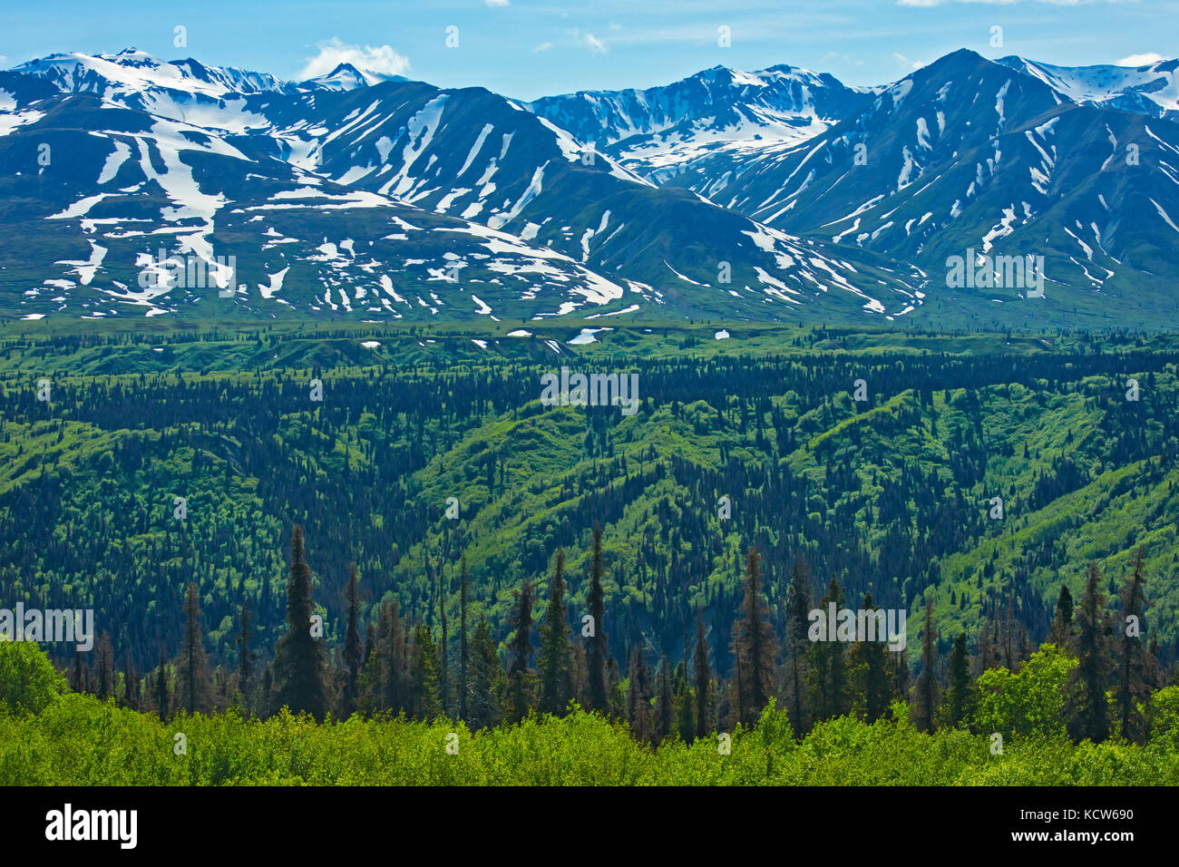 St. Elias Mountains, von der Haines Road im Nordwesten von British Columbia, British Columbia, Kanada Stockfoto