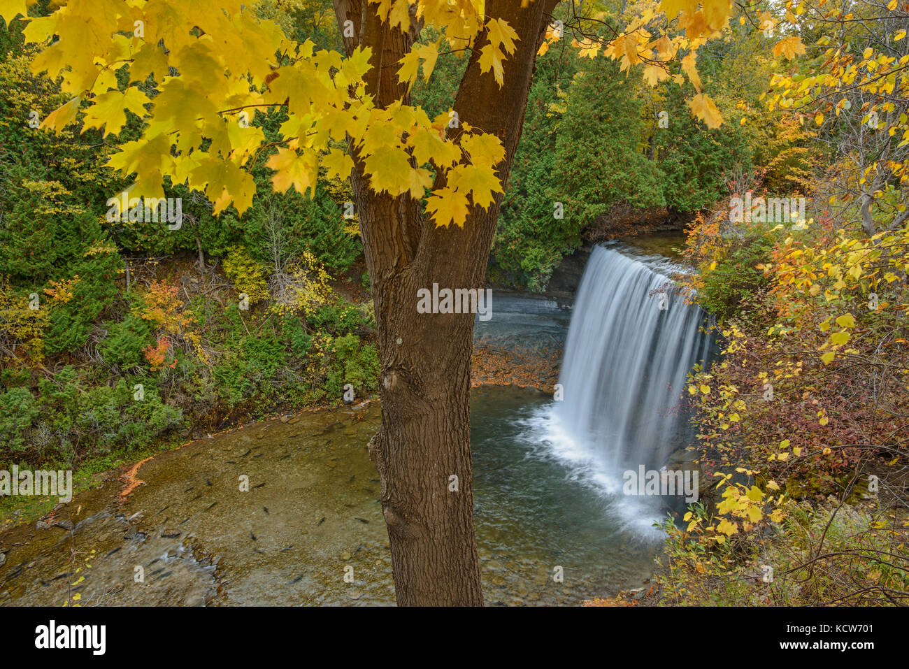Kagawong Creek, Bridal Veil Falls, Manitoulin Island, Ontario, Kanada Stockfoto