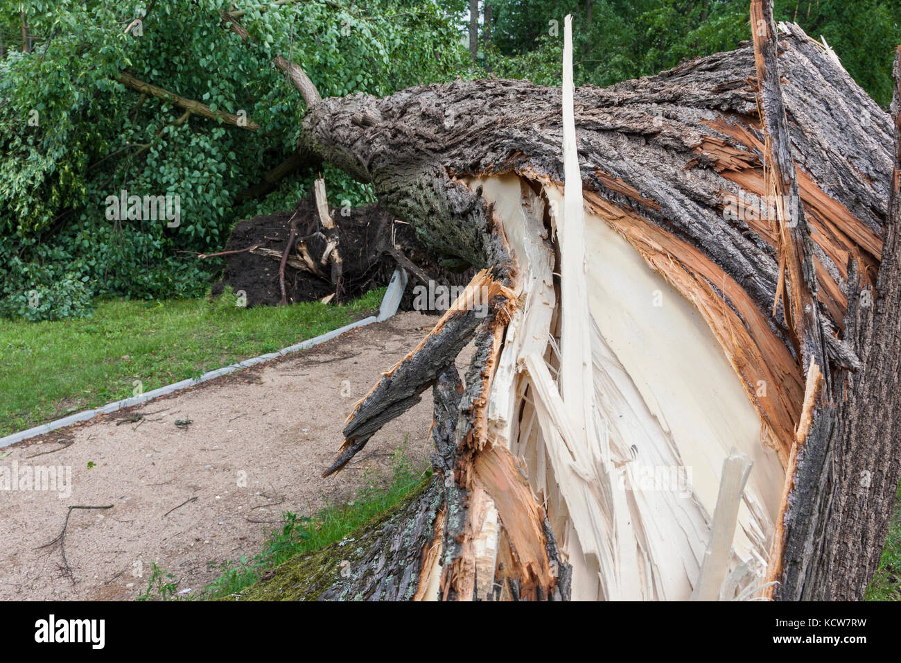 Platz nach dem Sturm zerstört und ein Hurrikan Stockfoto