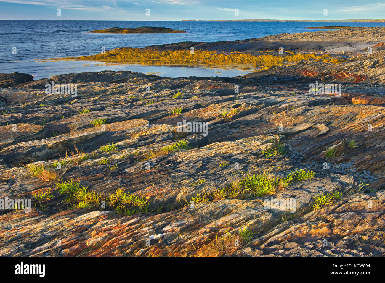 Felsige Landschaft am Atlantik, blaue Steine, Nova Scotia, Kanada Stockfoto