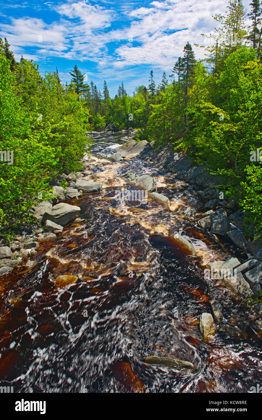 Northwest arm Bach, in der Nähe von Sherbrooke, Nova Scotia, Kanada Stockfoto
