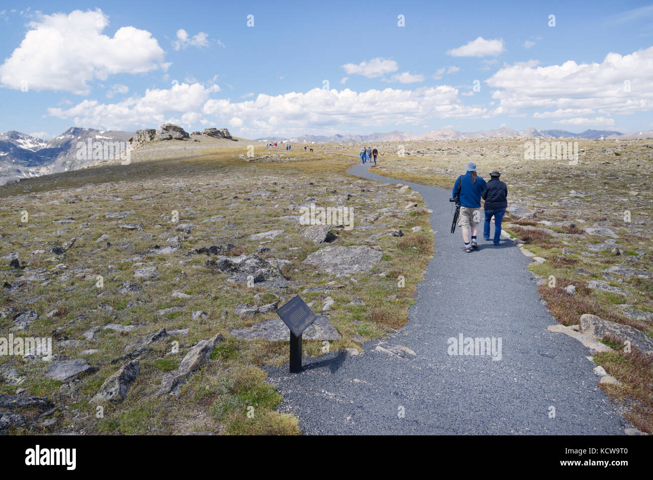 Tundra Gemeinschaften Trail, der Trail Ridge Road, Rocky Mountain National Park, Colorado Stockfoto