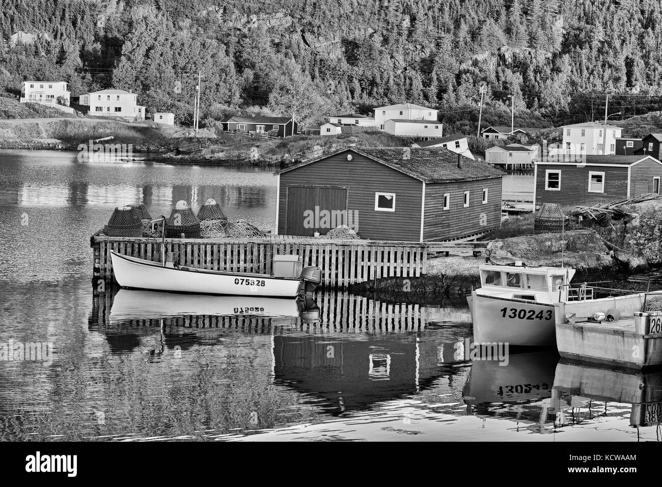 Küstenfischerei Dorf, Bergung, Neufundland und Labrador, Kanada Stockfoto