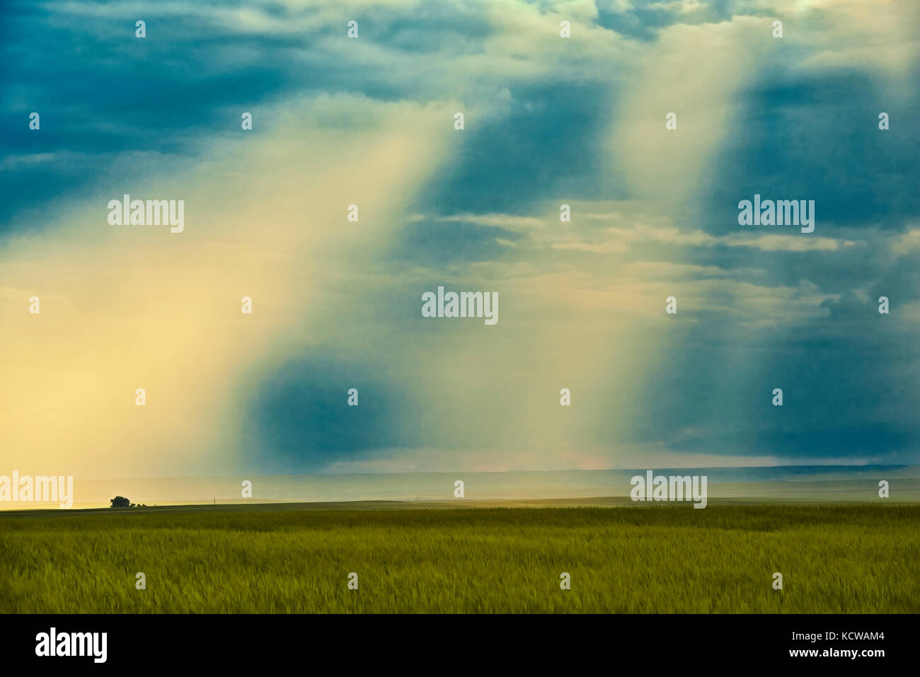 Gott strahlen und stürmischen Himmel, val Marie, Saskatchewan, Kanada Stockfoto