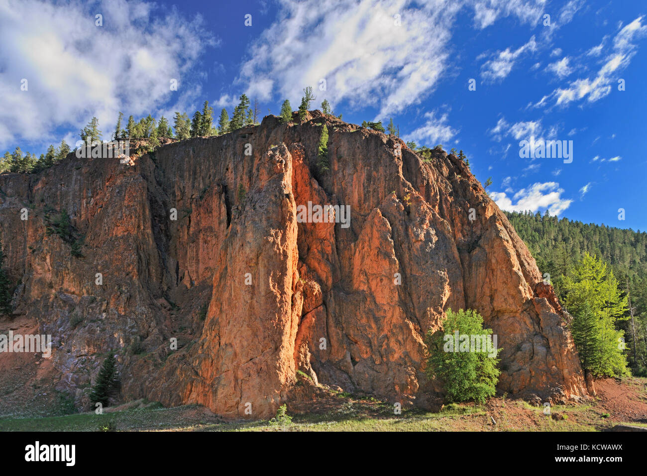 Red Rock Canyon von Sinclair, der kanadischen Rocky Mountains, Kootenay National Park, British Columbia, Kanada Stockfoto