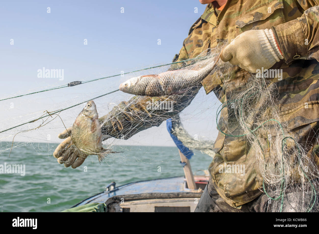 Mehr als 15 Fischarten sind seit dem Bau des Damms wieder aufgetaucht, hauptsächlich Silberkarpfen, Hecht, Barsch, Brassen, Rotauge. Fischer verwenden Netze chinesischen weil Stockfoto