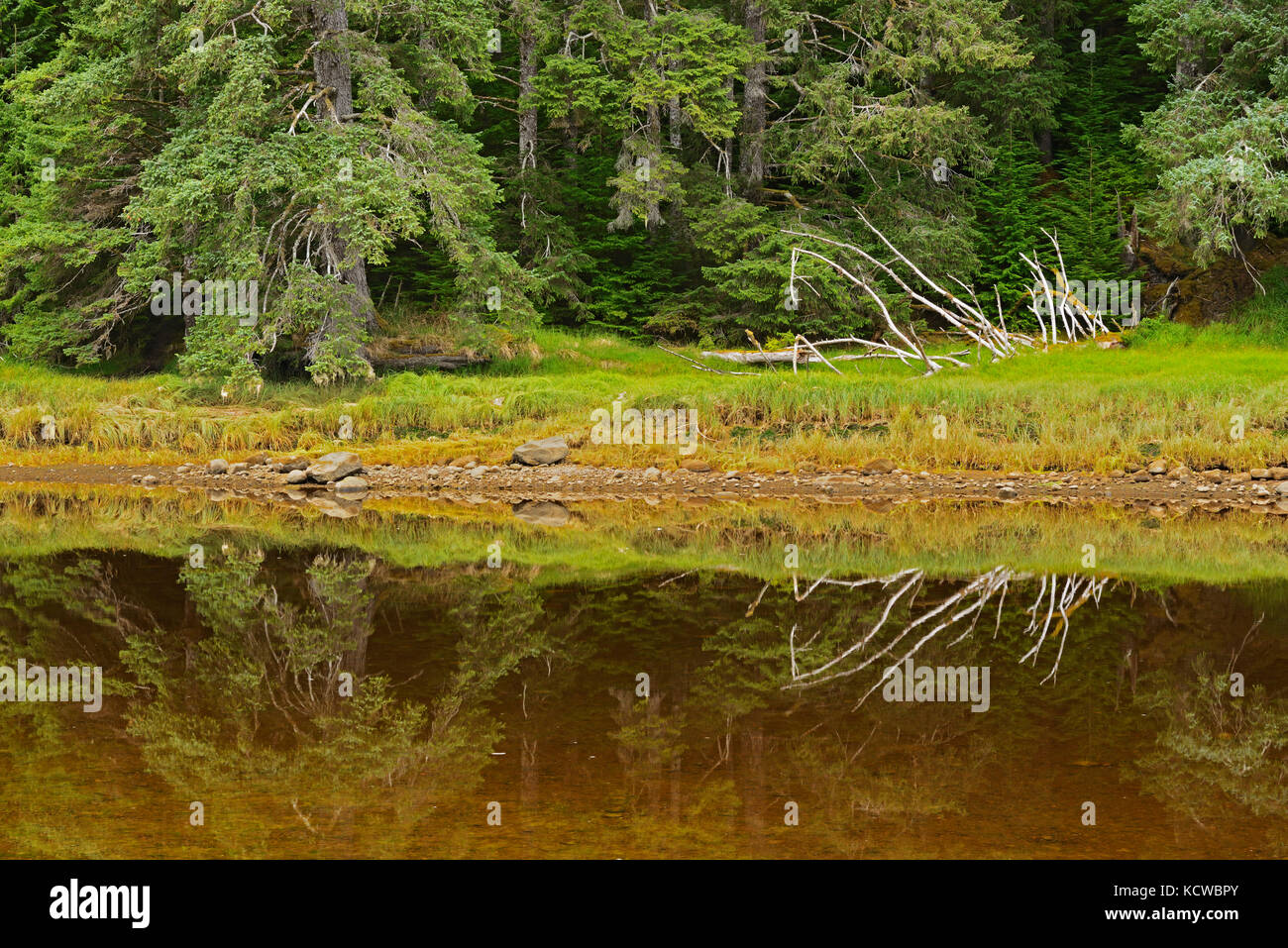 Tlell River, Graham Island, Haida Gwaii (früher der Queen Charlotte Islands, British Columbia, Kanada Stockfoto
