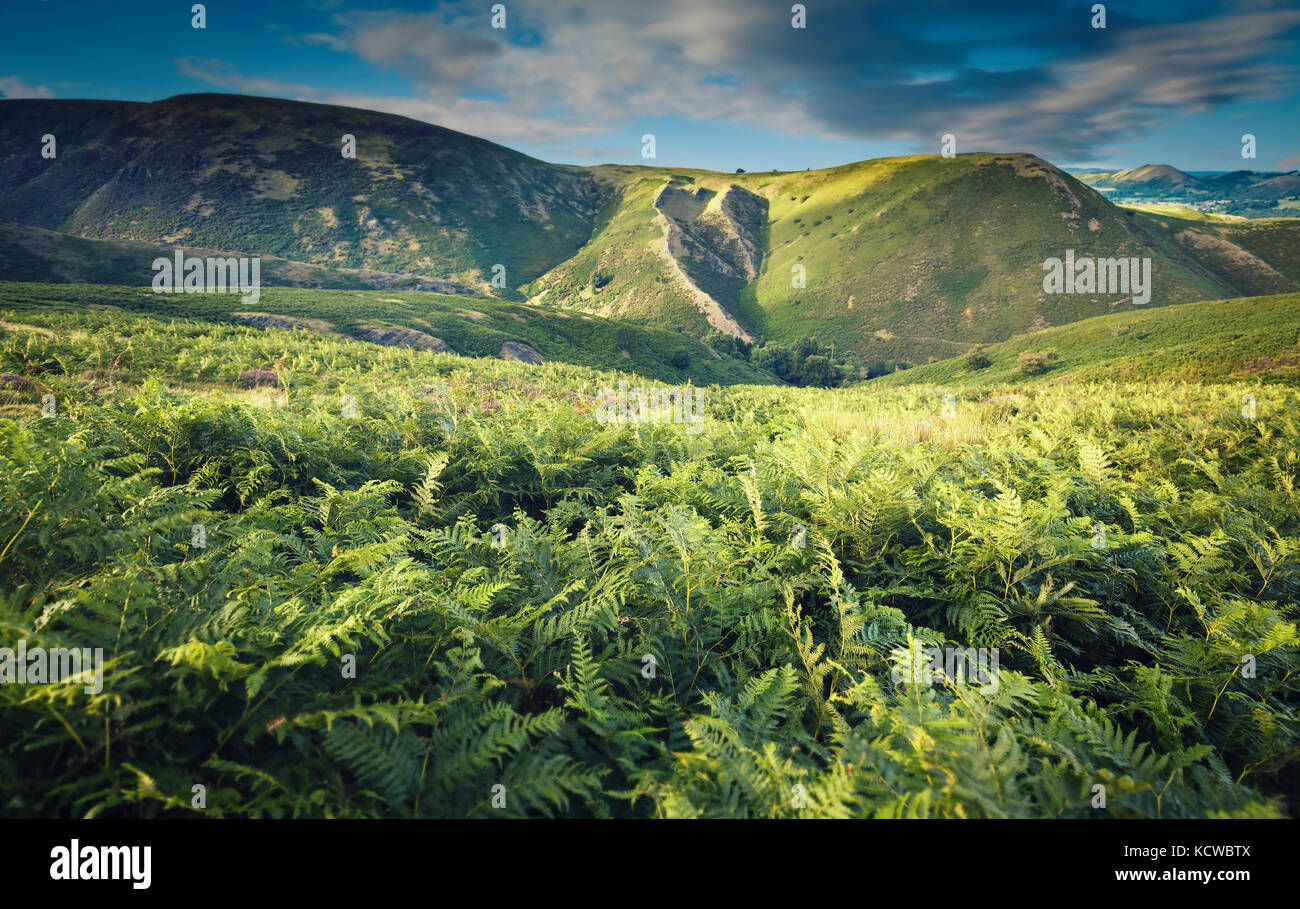 Malerische grüne Hügel der Britischen Landschaft Stockfoto