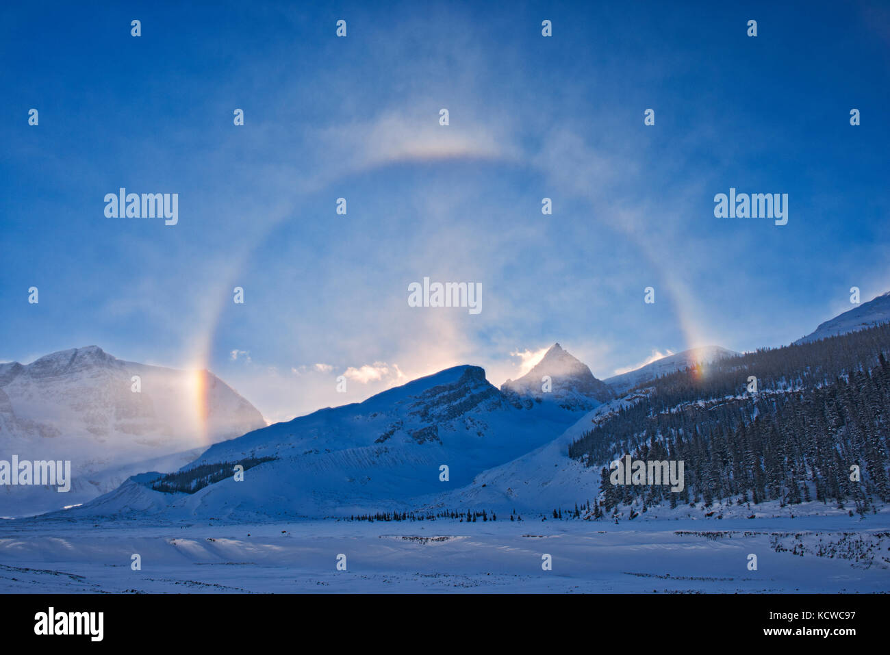 Halo Athabasca Glacier, Jasper National Park, Alberta, Kanada Stockfoto
