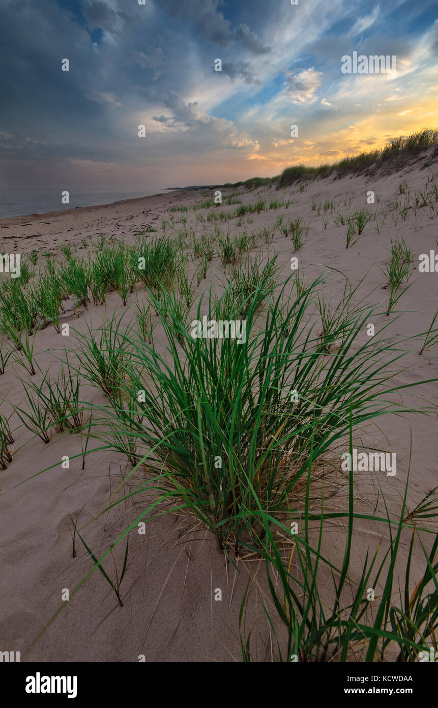 South Lake, Prince Edward Island, Kanada, Strand, Gras, Sonnenuntergang Stockfoto