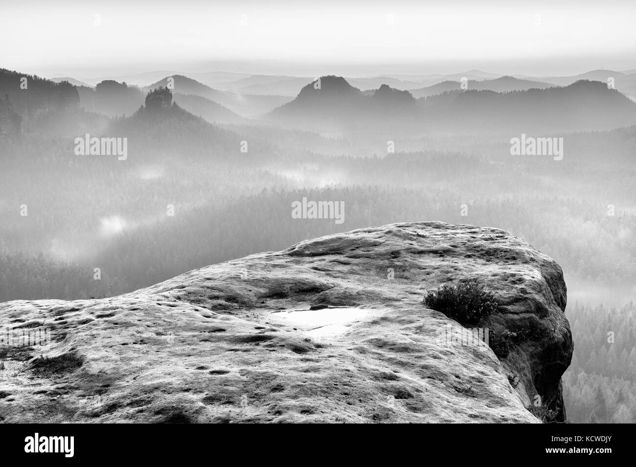 Feder nebligen Morgen im Wald landschaft. majestätischen Gipfeln cut Beleuchtung Nebel. tiefes Tal voller bunter Nebel und felsige Hügel ist Haften bis zu su Stockfoto