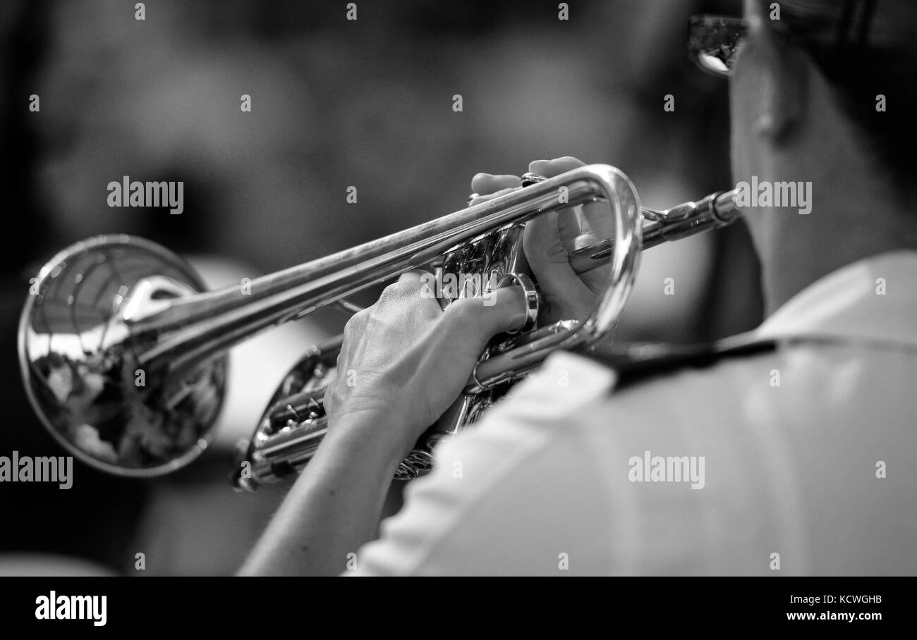 S.c. National Guard Soldaten des 246Th U.S. Army Band, s.c. National Guard, führen Sie ein Live Konzert während der traditionellen 4. Juli feiern in Greenville, South Carolina, 4. Juli 2016. Über 1.500 Zuschauer in die Band für das Konzert und Feuerwerk. (U.s. Army National Guard Foto: Staff Sgt. roby Di Giovine/freigegeben) Stockfoto