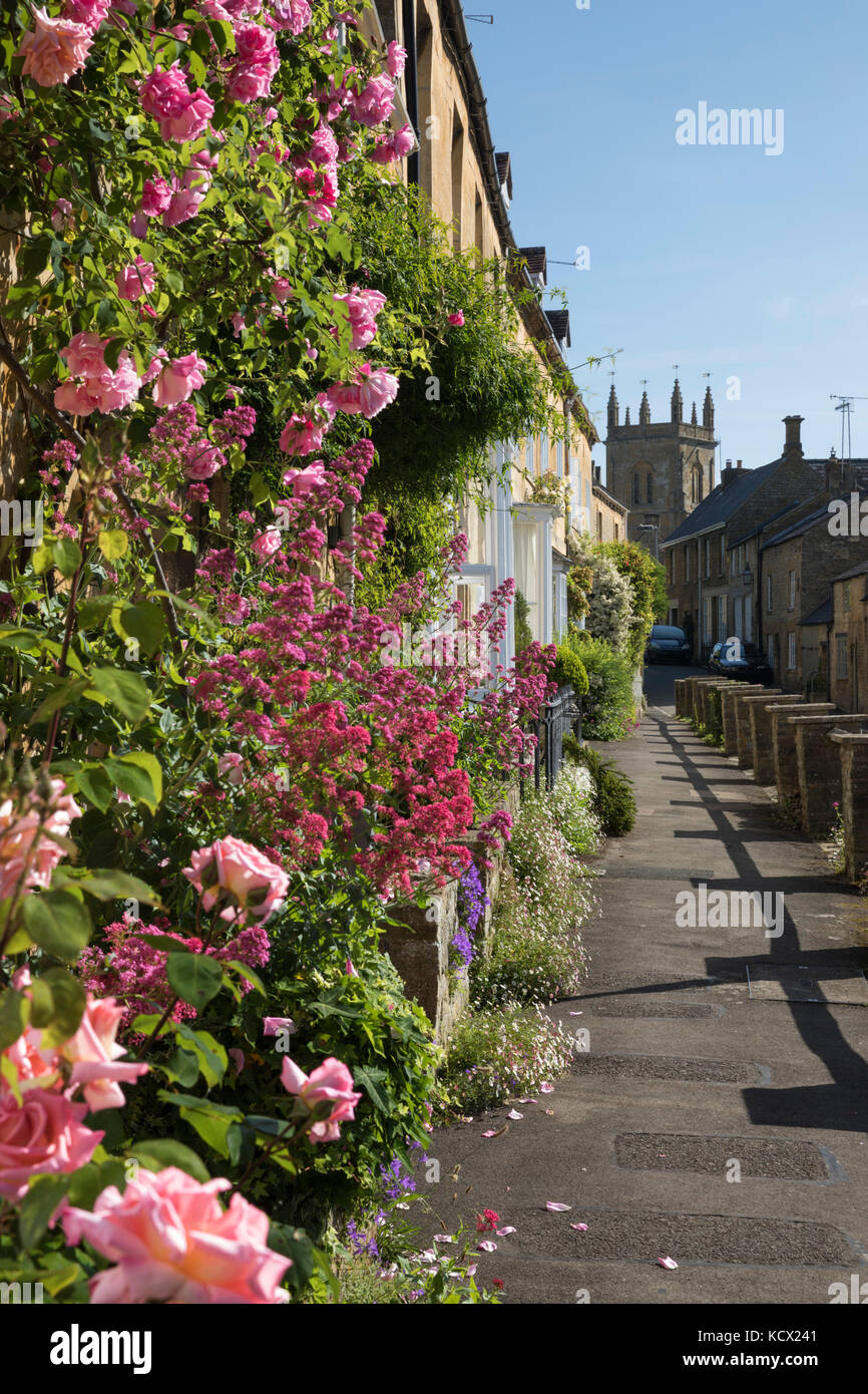 Rose abgedeckt Front von Cotswold Stone Cottages entlang der High Street, Blockley, Cotswolds, Gloucestershire, England, Vereinigtes Königreich, Europa Stockfoto