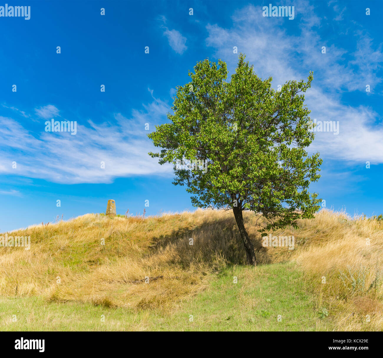 Landschaft mit alten Grabhügel und einsame aprikosenbaum am späten Sommer Saison Stockfoto