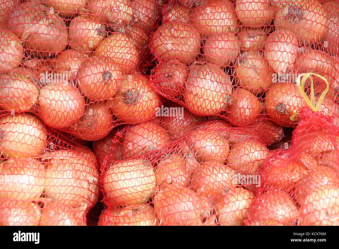 Die vertikale rote stehende String Beutel der helle gelbe Zwiebeln für Verkauf, Stockfoto