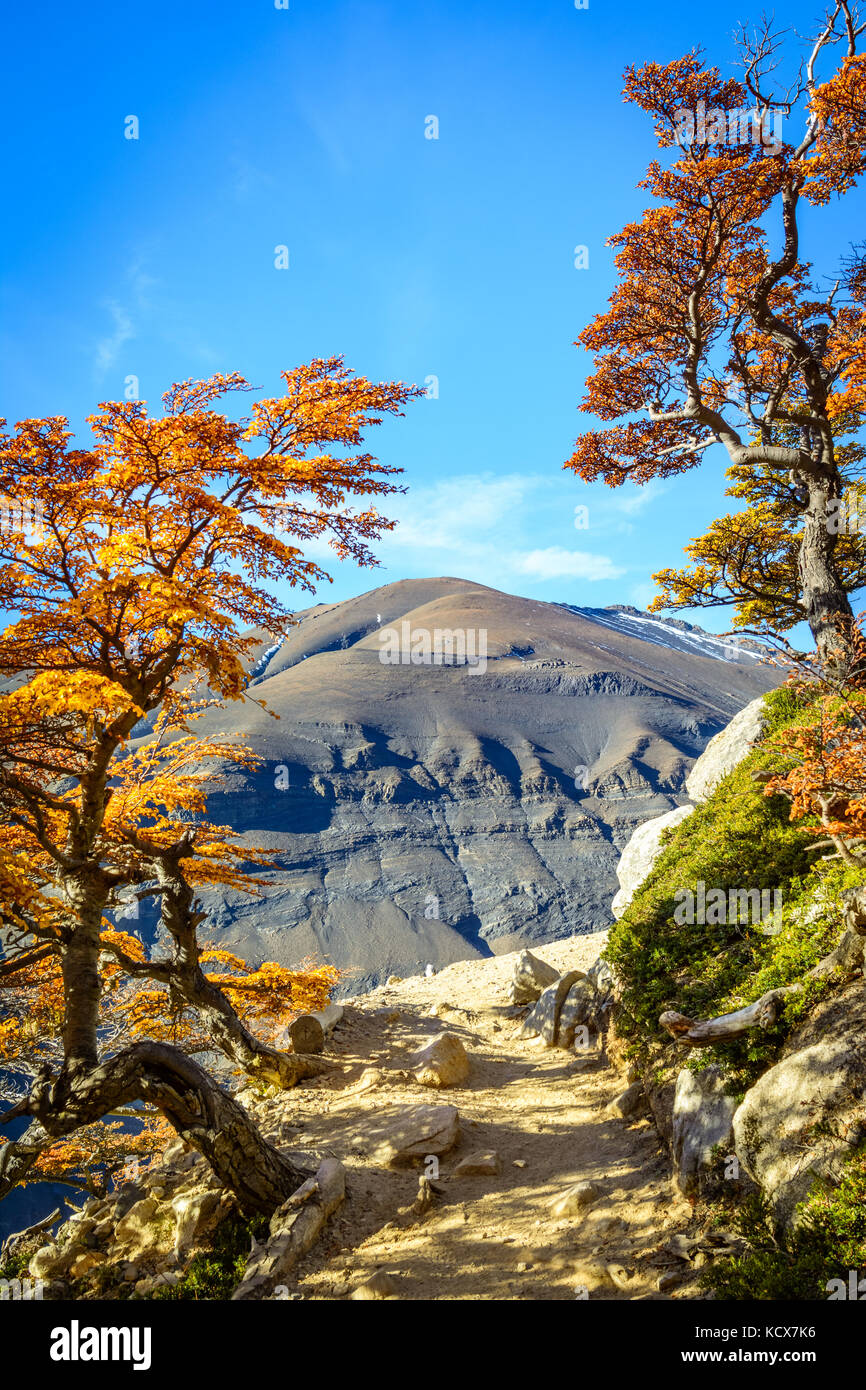 Torres del Paine, Patagonien, Chile - Südlichen Patagonischen Eisfeld, magellanes Region Südamerika Stockfoto