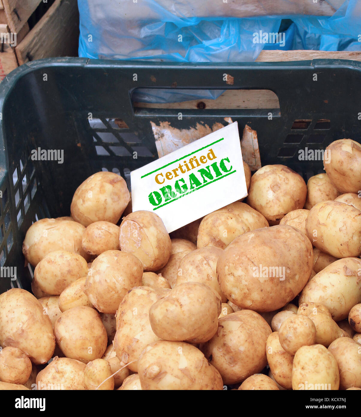 Kartoffeln Stapel in Kunststoffkisten mit bio-zertifizierten Schild oben auf dem Markt verkauft. Stockfoto