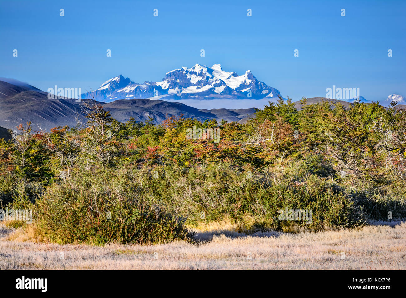 Torres del Paine, Patagonien, Chile - Südlichen Patagonischen Eisfeld, magellanes Region Südamerika Stockfoto