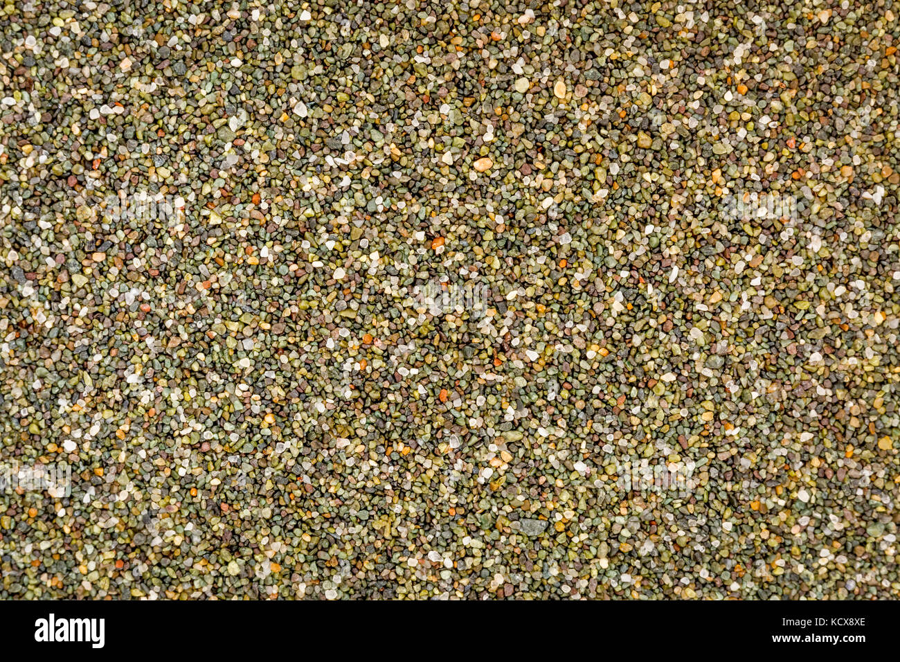 Leben Größe Makro von bunten sand Korn von Black Point Beach, Sonoma County, Kalifornien Stockfoto