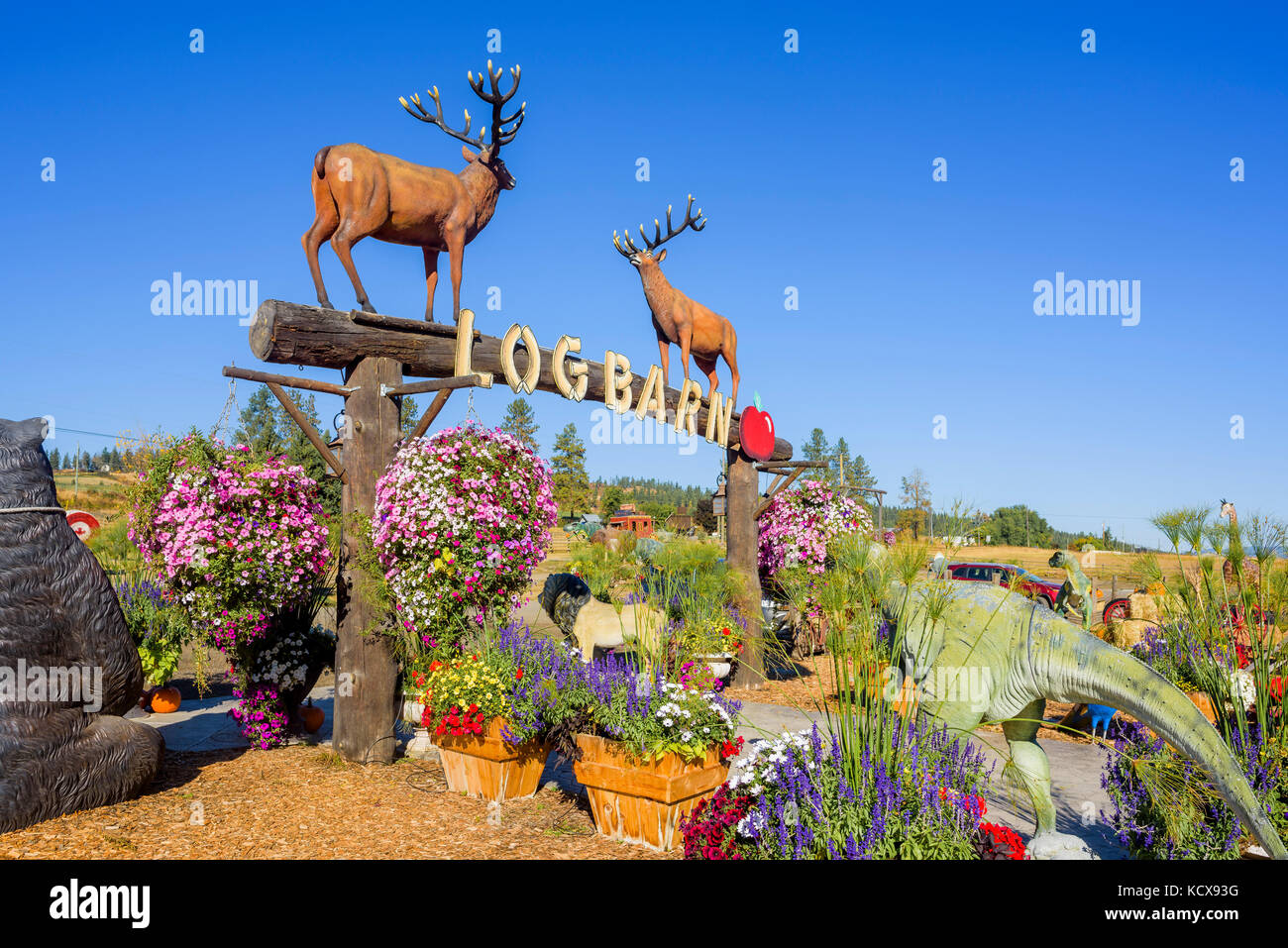 Die Scheune, Armstrong, British Columbia, Kanada. Stockfoto