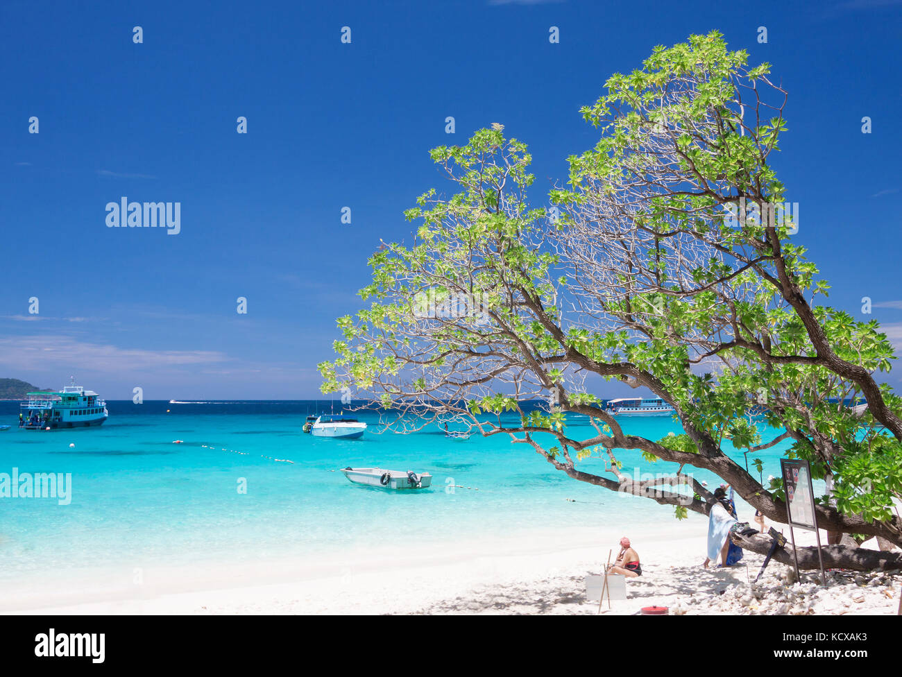 Wunderschönen tropischen Strand auf Similan Island, Thailand Stockfoto