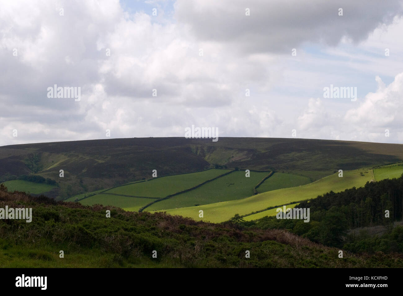 Ansicht des Nationalparks Exmoor, Devon. Großbritannien Stockfoto