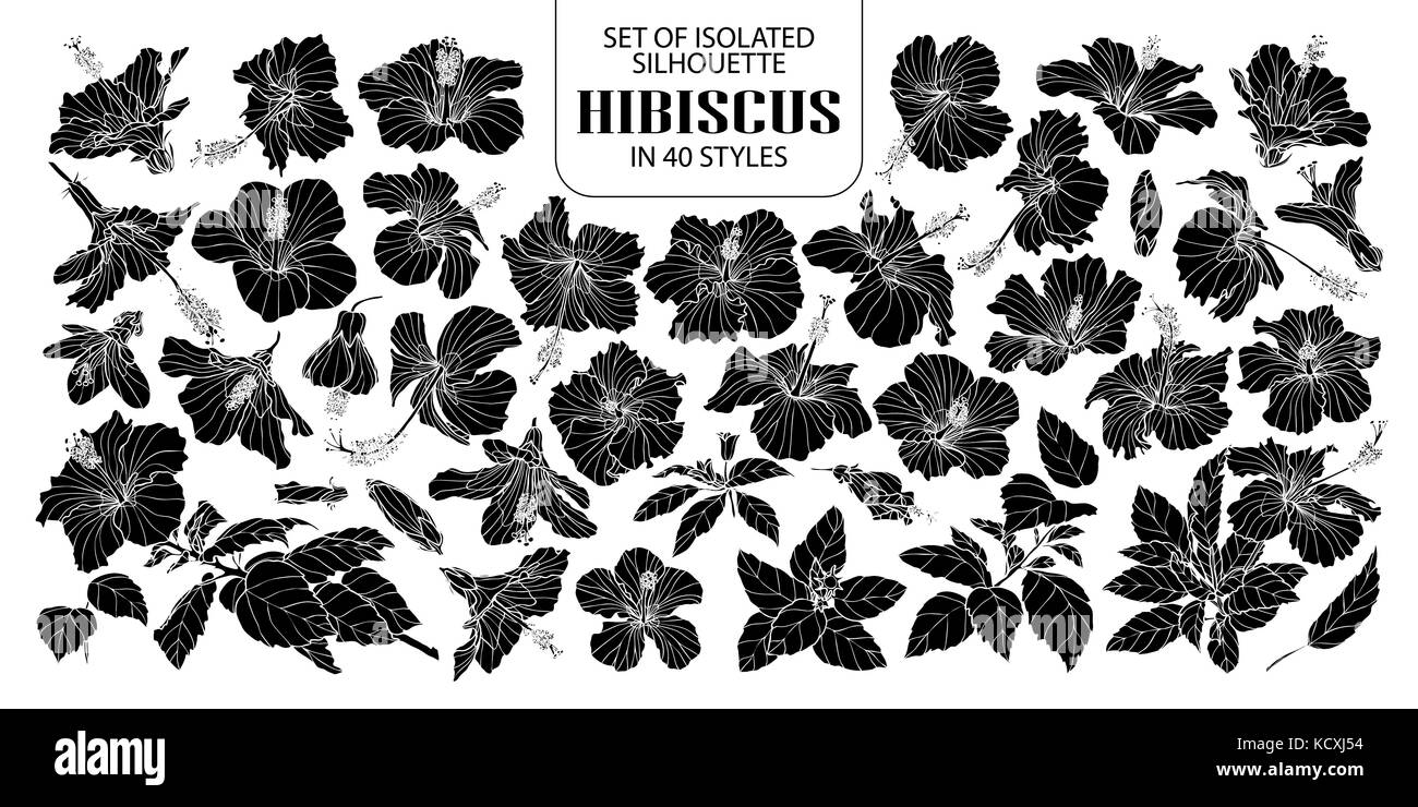 Eingestellt von isolierten Silhouette hibiscus in 40 Stile. cute Hand gezeichnet Vektor-illustration Blumen in Weiß und Schwarz auf weißem Hintergrund. Stock Vektor