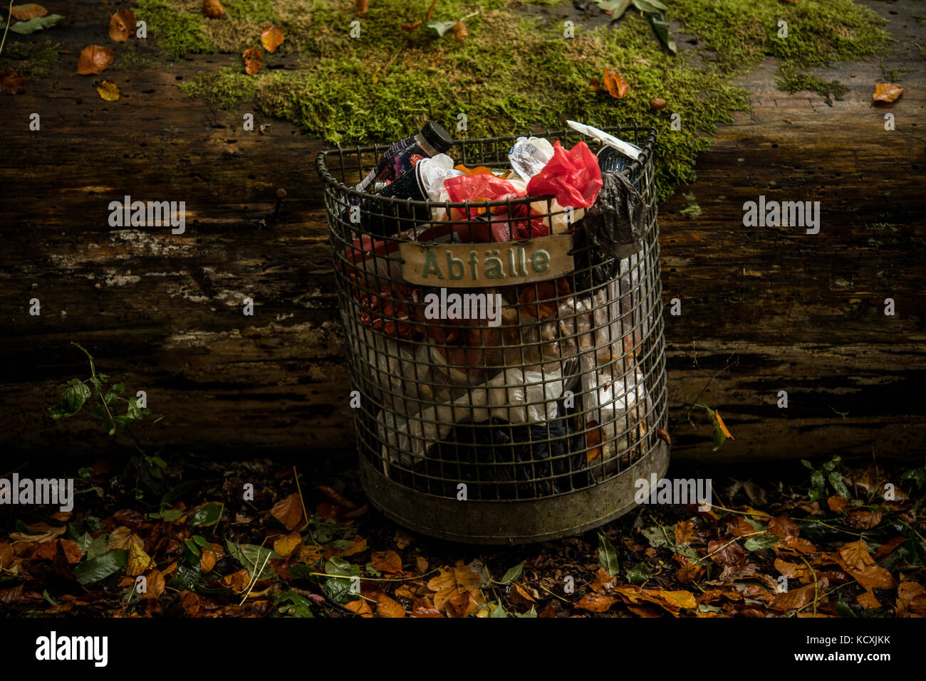 Mülleimer Abfalleimer Wurf montiert auf einen alten Baum Stockfoto