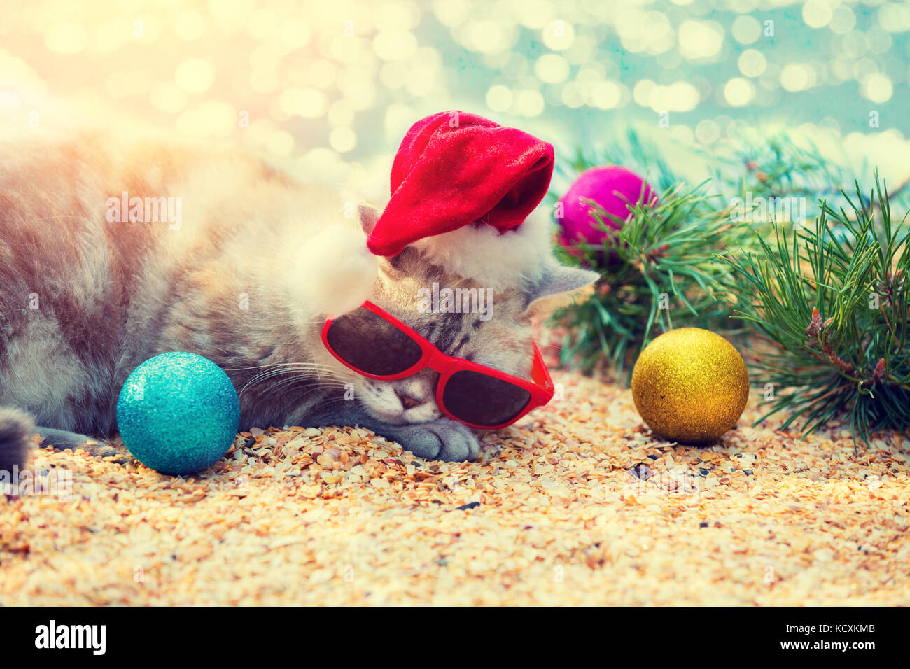 Katze mit Sonnenbrille und Santa hat, sitzt auf einem Strand in der Nähe Tanne mit Weihnachtsdekoration. Stockfoto