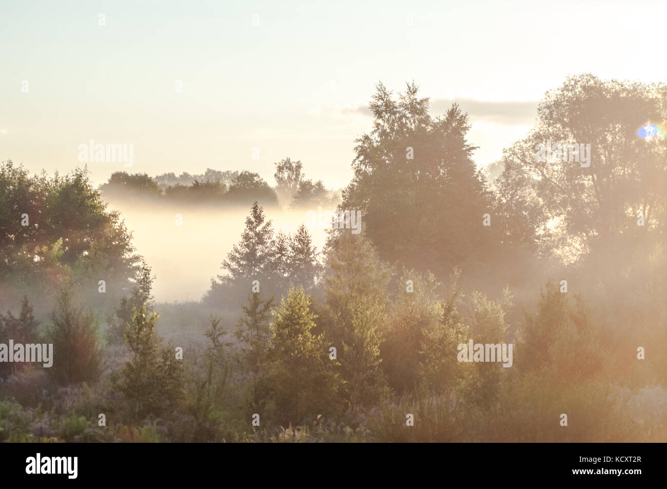 Schönen Morgen Szene. Lettische Landschaft mit nebligen Felder. Stockfoto