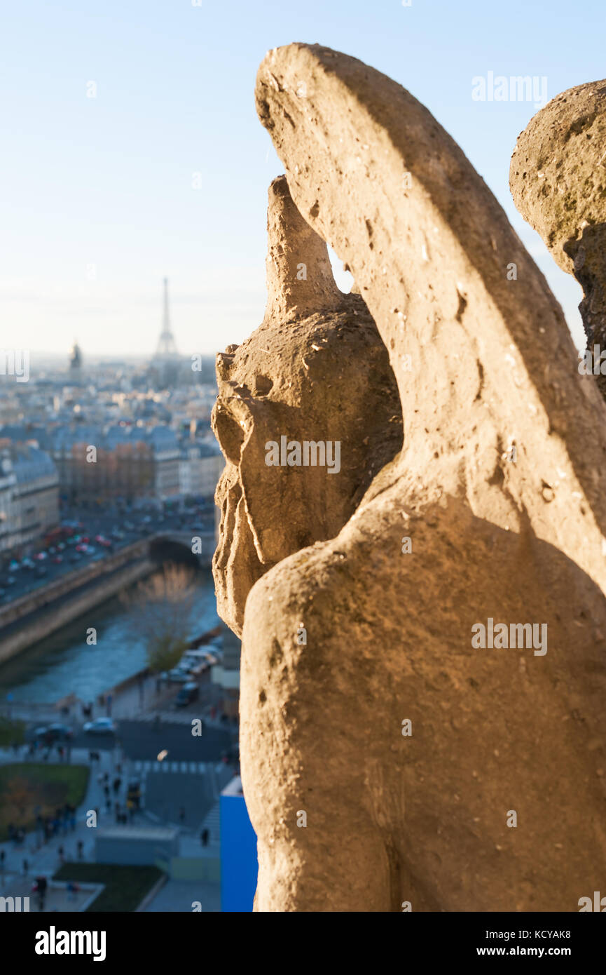 Wasserspeier beobachten Skyline von Paris an einem sonnigen Tag Stockfoto