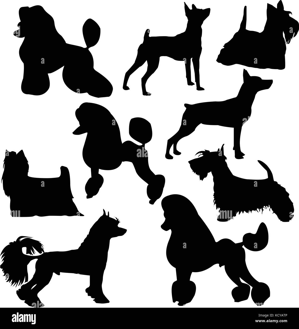Satz von Silhouetten der ständigen dekorative Hunde Stock Vektor