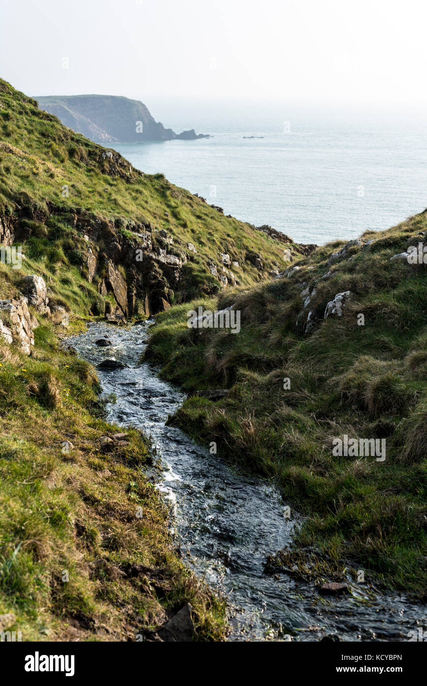Ein kleiner Bach fließt in Richtung Meer, Pembrokeshire, Großbritannien Stockfoto