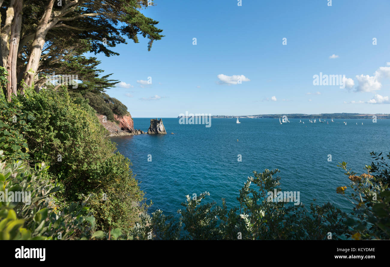 Auf dem South West Coast Path an ilsham, Torquay, in Tor Bay, Laub und Pinien mit Blick auf das Meer. Sommer Himmel und das blaue Meer Stockfoto