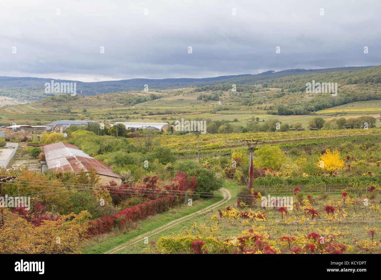 Farbenprächtige Herbstlandschaft Stockfoto