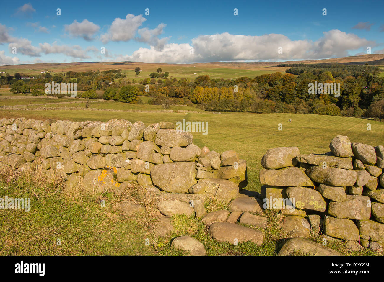 Teesdale Landschaft, Stil in einer Steinmauer auf einem Pfad von Holwick zu geringe Kraft, Teesdale, Großbritannien, Oktober 2017 Stockfoto