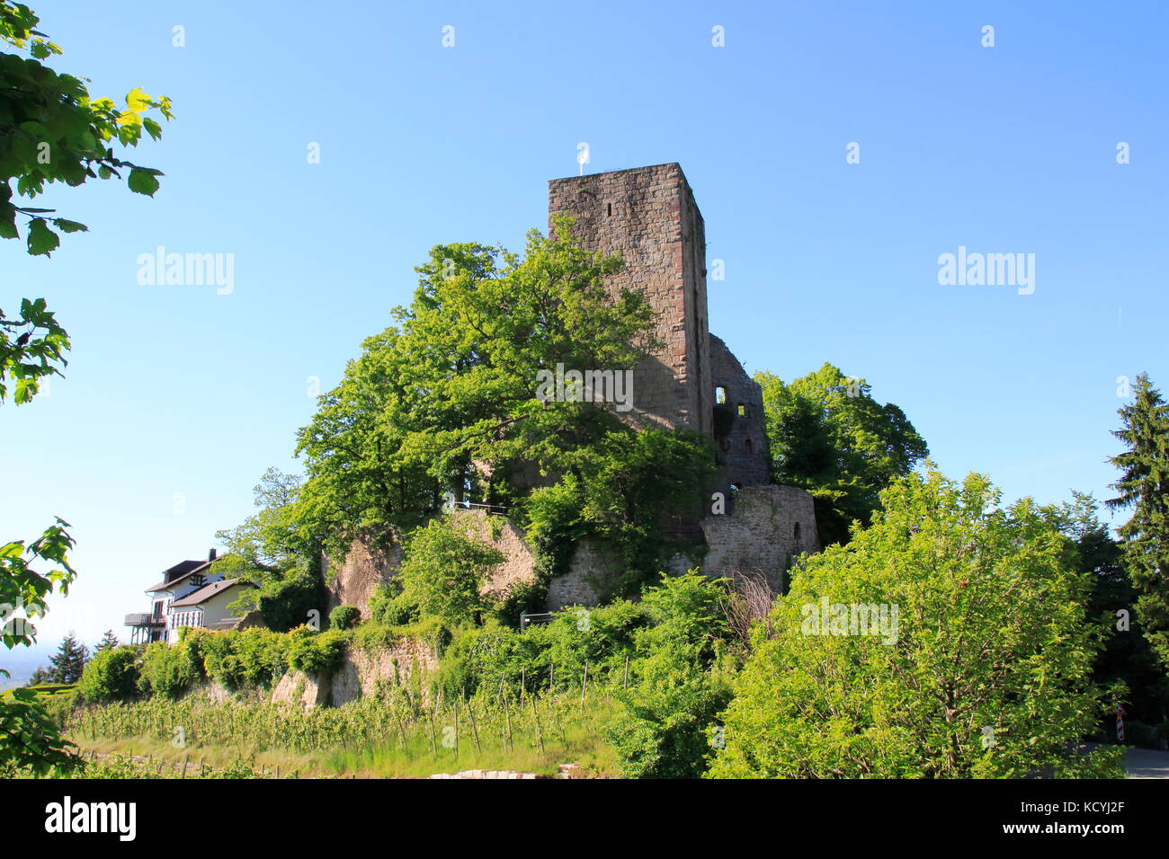 Burg Windeck bei Bühl Kappelwindeck im Schwarzwald Stockfoto