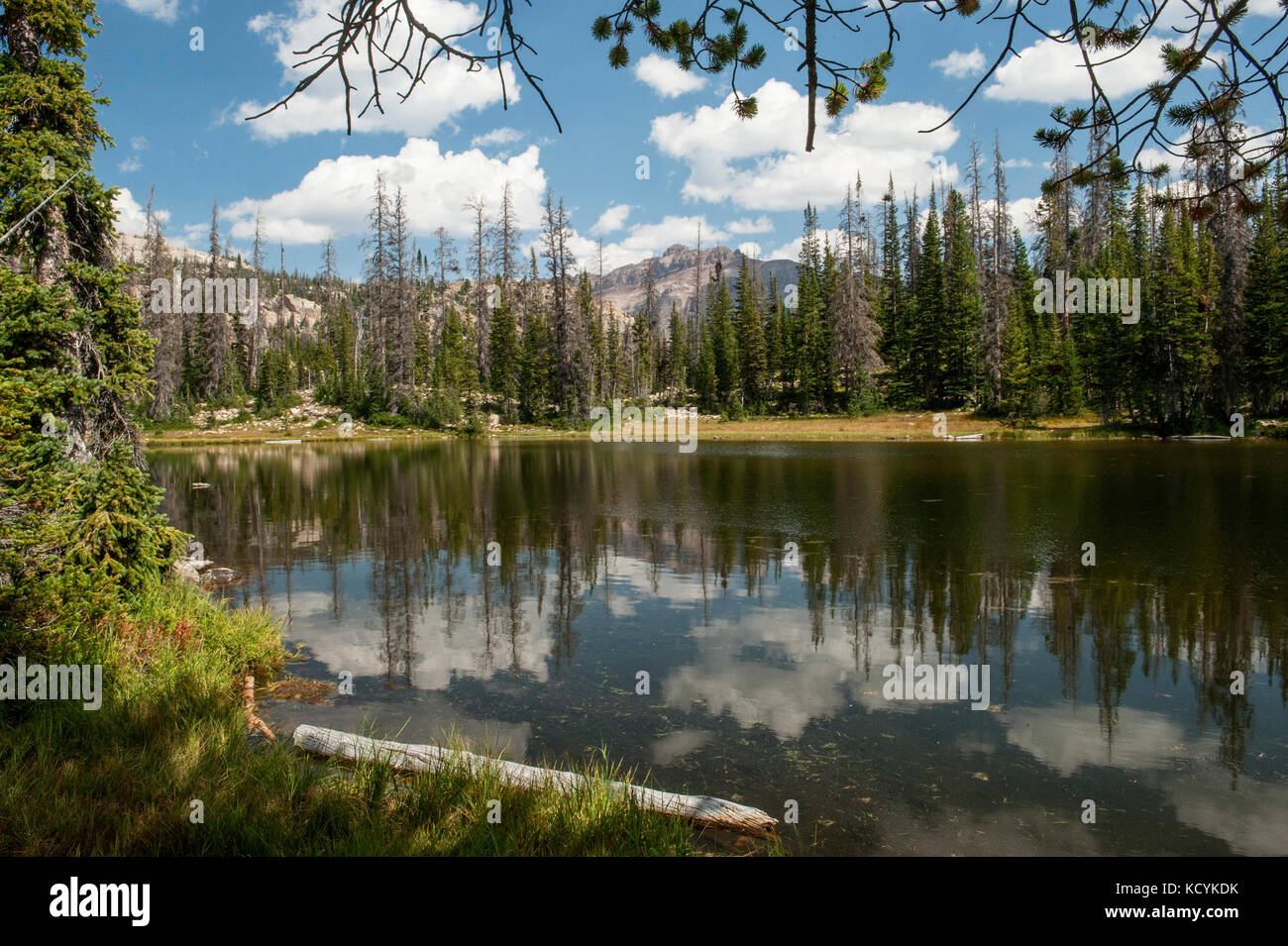 Malerischen See, in der Nähe der Mirror Lake Scenic Byway (Hwy 150) in den wasatch National Forest, Utah. Eine kurze Wanderung ist erforderlich, um hier zu erhalten. Stockfoto