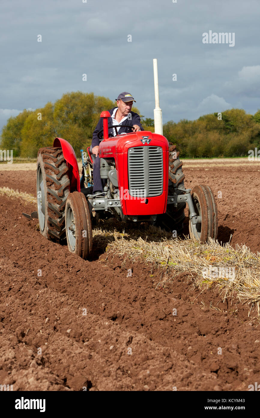 Massey Ferguson 35 X Traktor Pflügen Stoppeln Feld UK Stockfoto