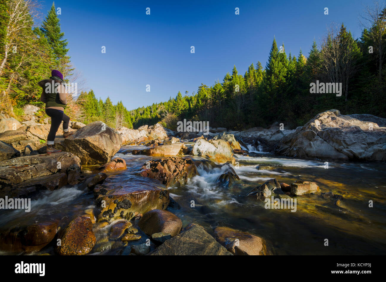 Frau, Wandern, Fluss, Fundy National Park, Alma, New Brunswick, Kanada Stockfoto