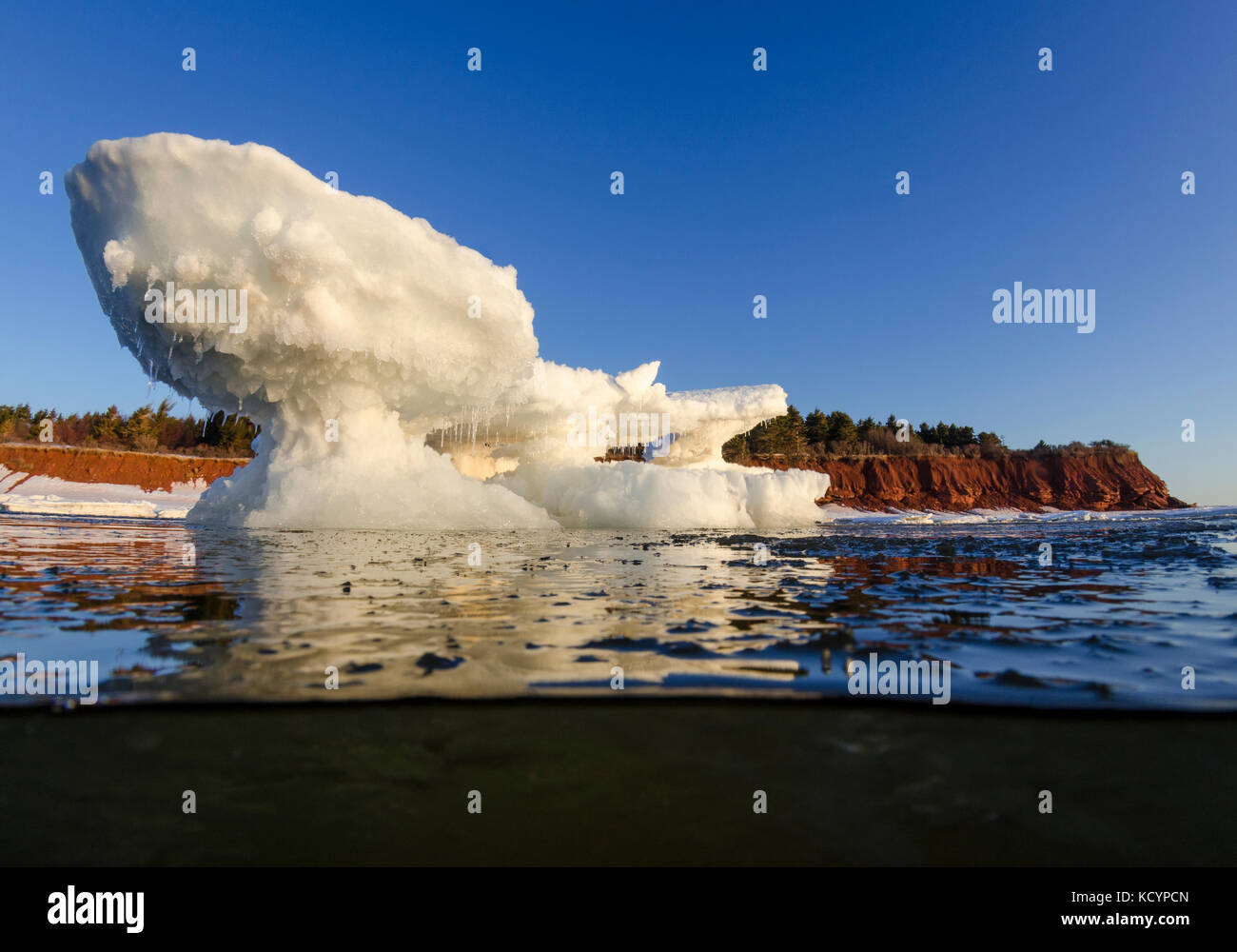 Meereis, Iceberg, Ozean, Golf von St. Lawrence, Aurora, Prince Edward Island National Park, Prince Edward Island, Kanada, Unterwasser Stockfoto