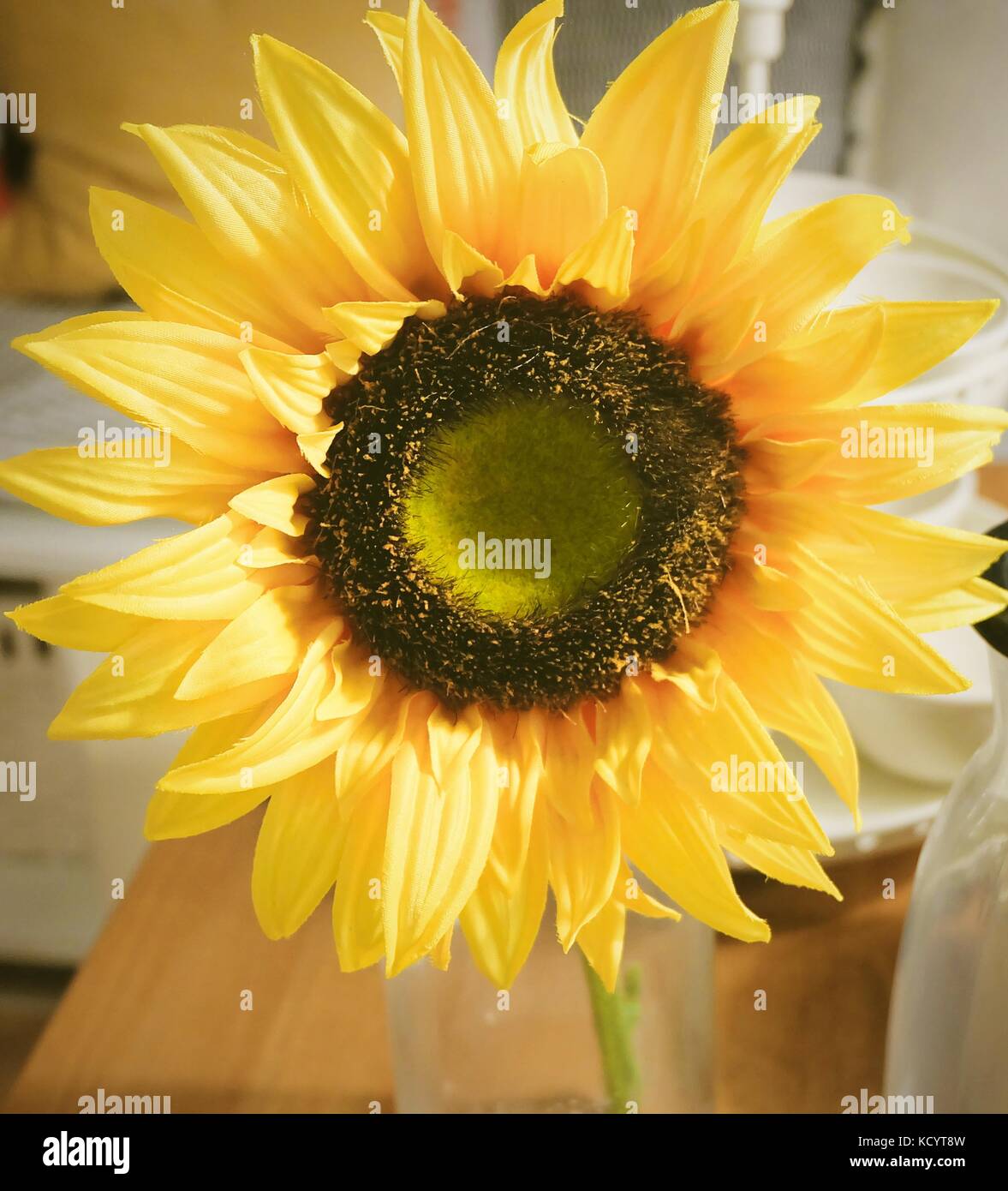 Hintergrund gelb knstliche Sonnenblumen Blumen den Kchentisch fr Haus-  und Dekoration Stockfotografie - Alamy